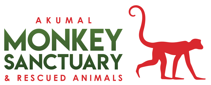 Логотип Akumal Monkey Sanctuary & Rescued Animals